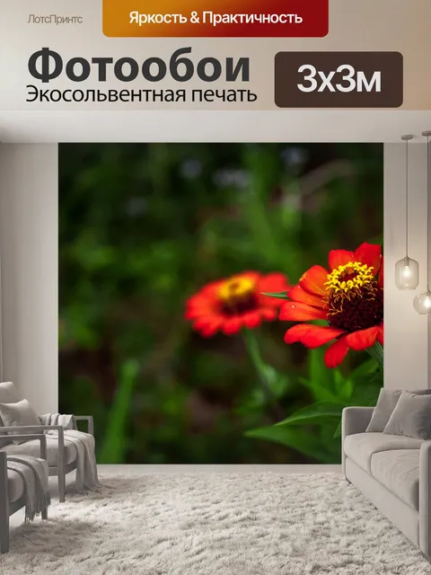 Фотообои Цветы