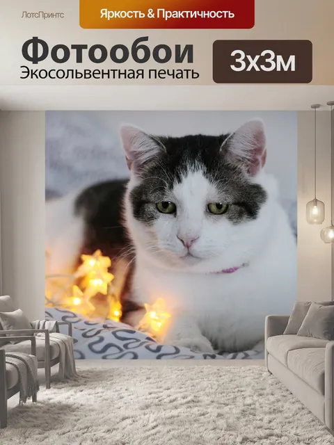 Фотообои Милый