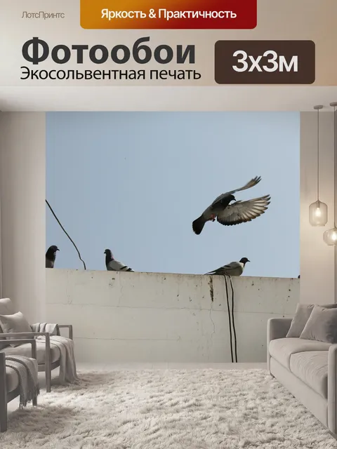 Фотообои Птицы
