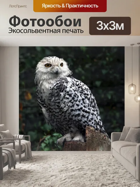 Фотообои Птица