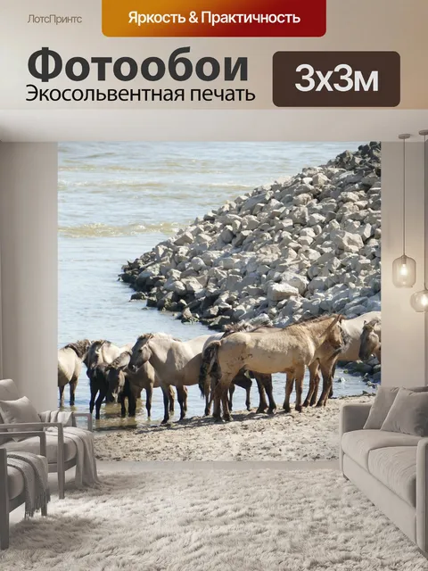 Фотообои Лошади