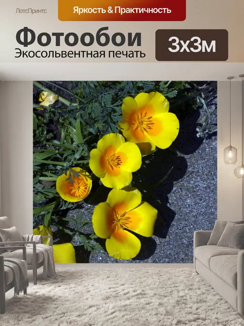 Фотообои Калифорнийские цветы мака