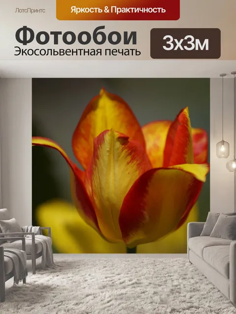 Фотообои Международный