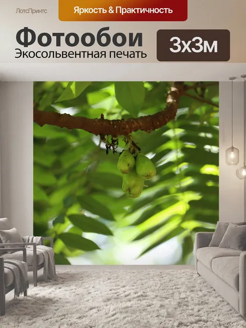 Фотообои Фрукты