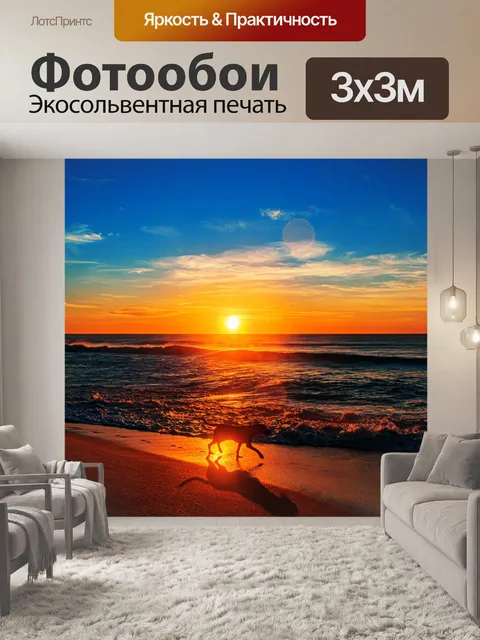 Фотообои Собака гуляет во время восхода солнца