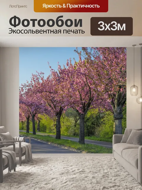 Фотообои Вишня в цвету