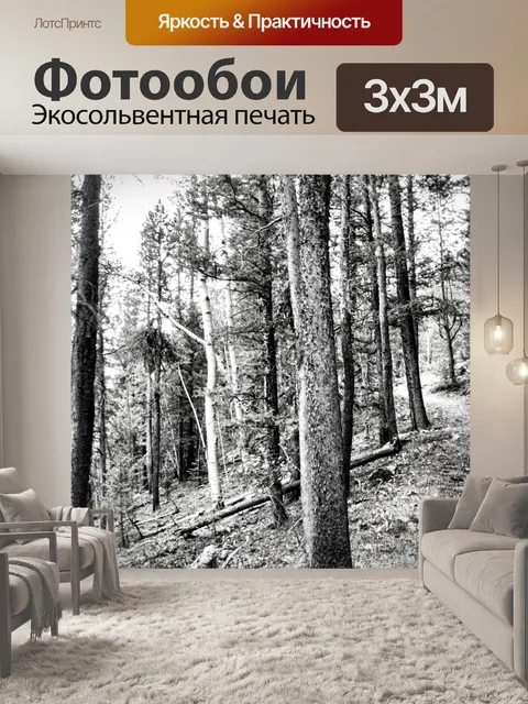Фотообои Лесные деревья