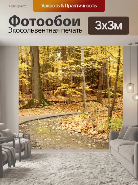 Фотообои Скрытые дороги через лес