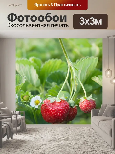 Фотообои Клубника