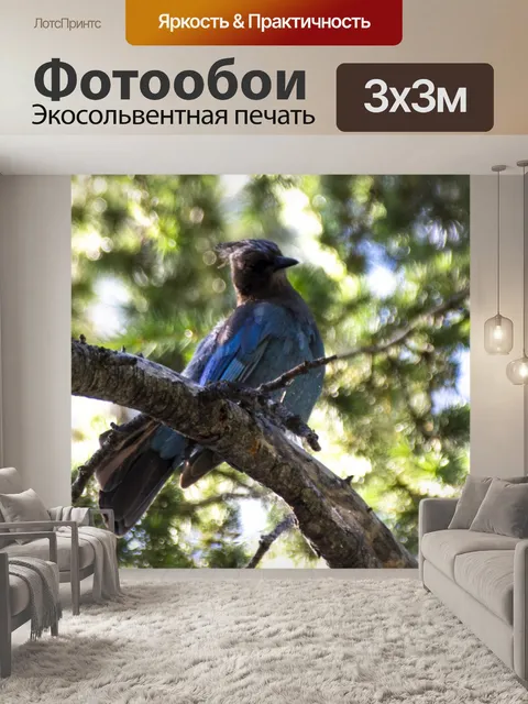 Фотообои голубая сойка в дереве