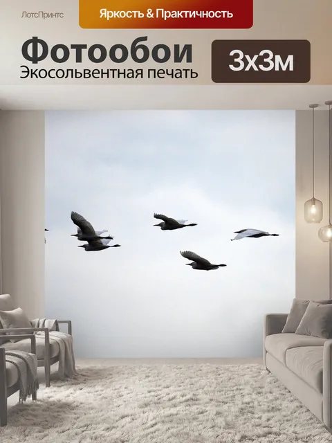 Фотообои Птицы