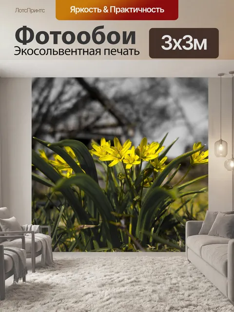 Фотообои Цветы