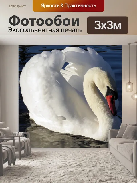 Фотообои Птица