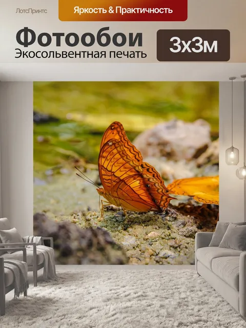 Фотообои Насекомое