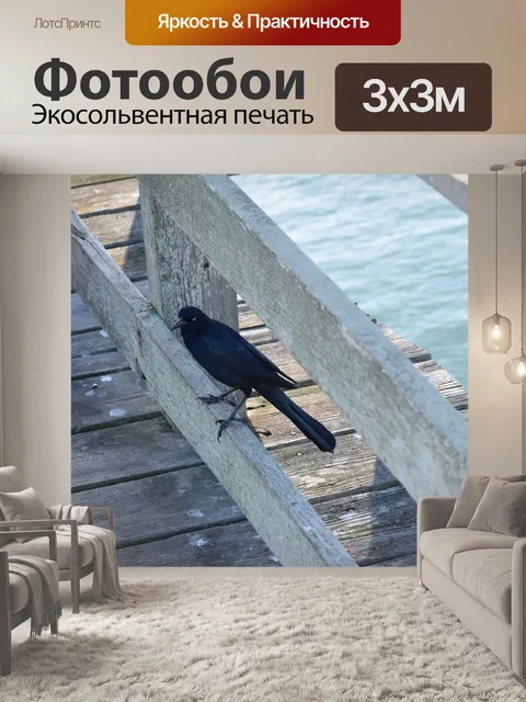 Фотообои Птица