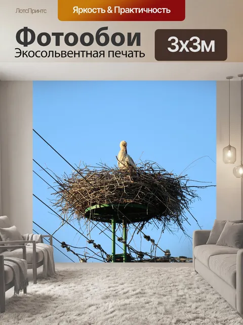 Фотообои Стебель