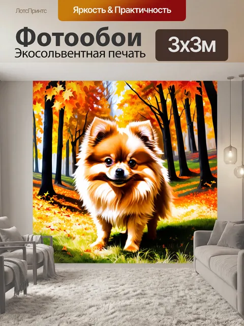 Фотообои изображение померанского шпица