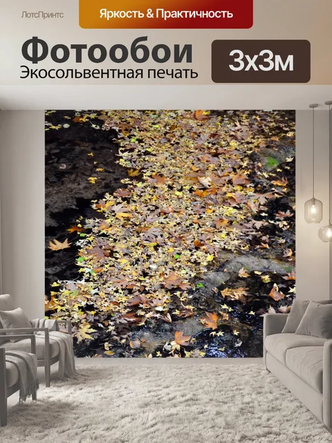 Фотообои Сухой