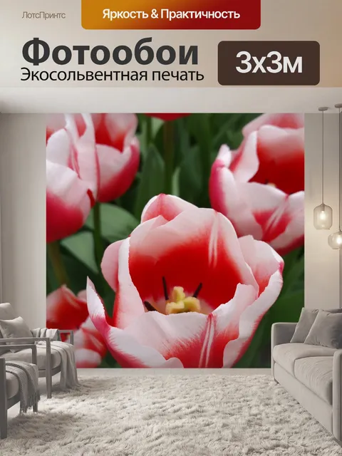 Фотообои Цветок
