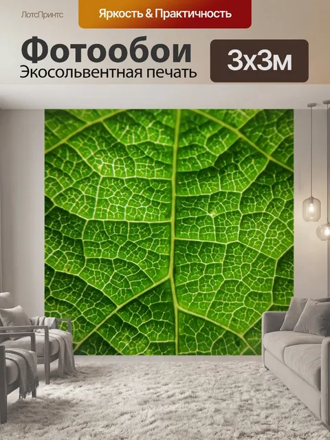 Фотообои Лист