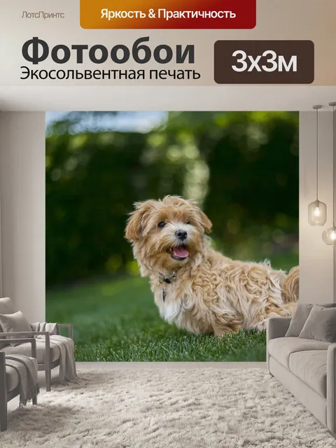Фотообои Собака