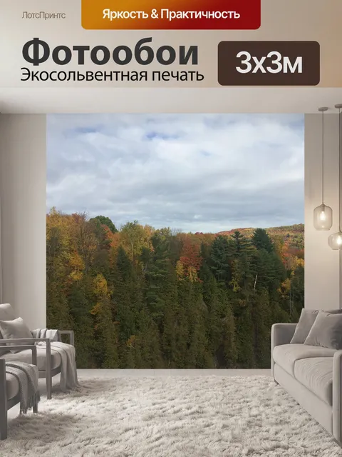 Фотообои Деревья