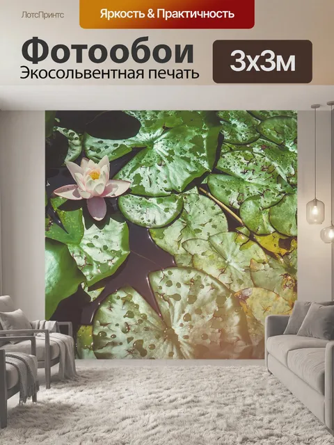 Фотообои Кувшинка