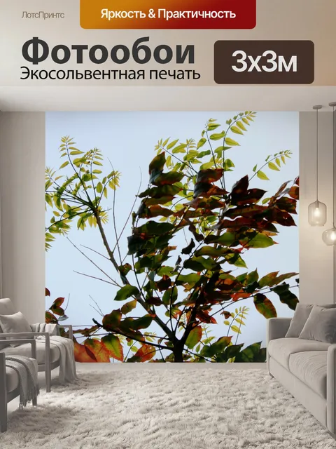 Фотообои листья на фоне неба