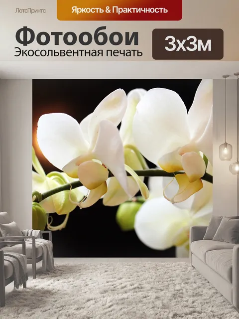 Фотообои Орхидеи