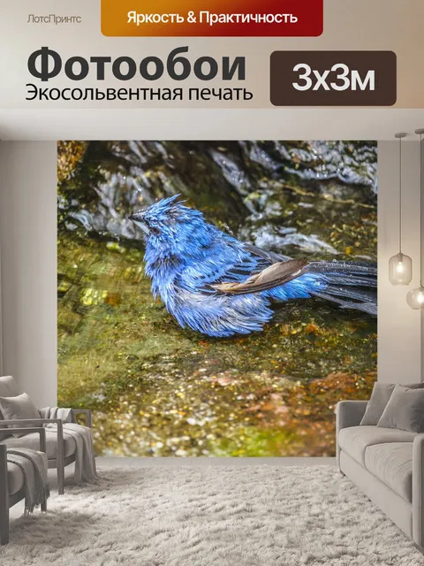 Фотообои Зимородок