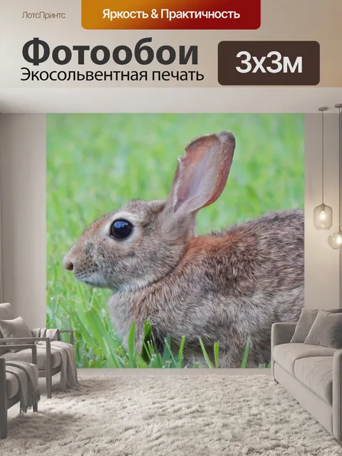 Фотообои Кролик