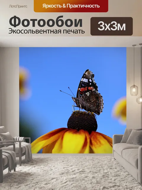 Фотообои Бабочка
