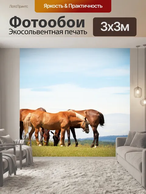 Фотообои Лошади