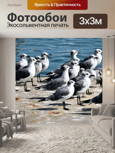 Фотообои Чайки на скамье подсудимых