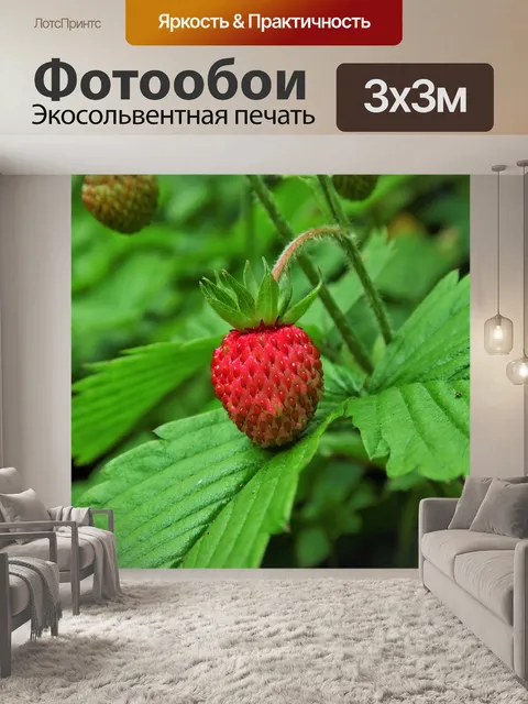 Фотообои Клубника
