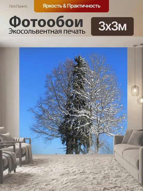 Фотообои Зима