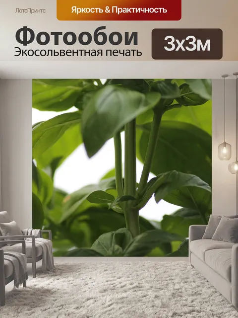 Фотообои Бэзил