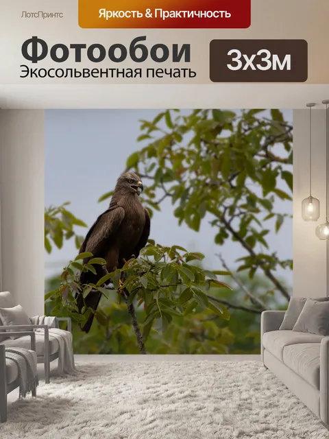 Фотообои Природа