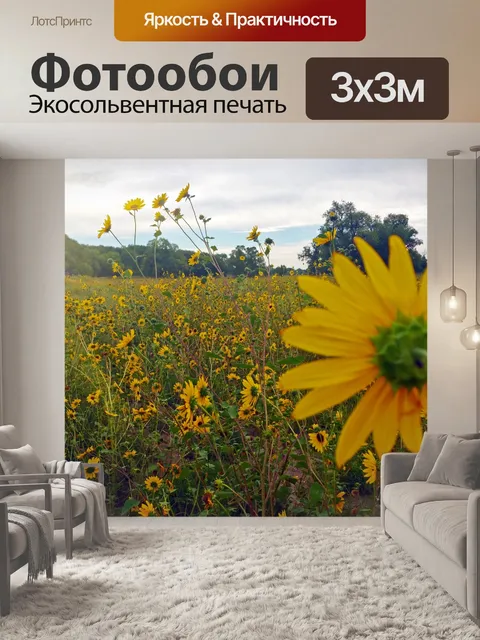 Фотообои Поздняя осень диких подсолнухов