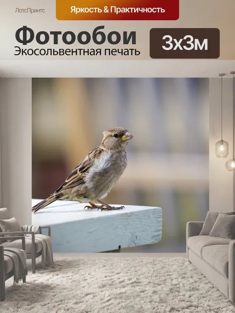 Фотообои Домовый воробей