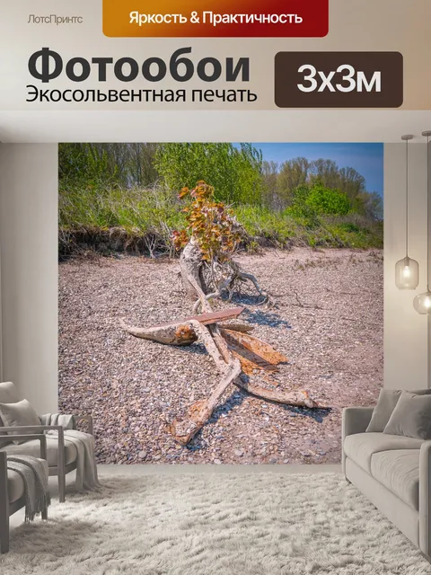Фотообои Рейн