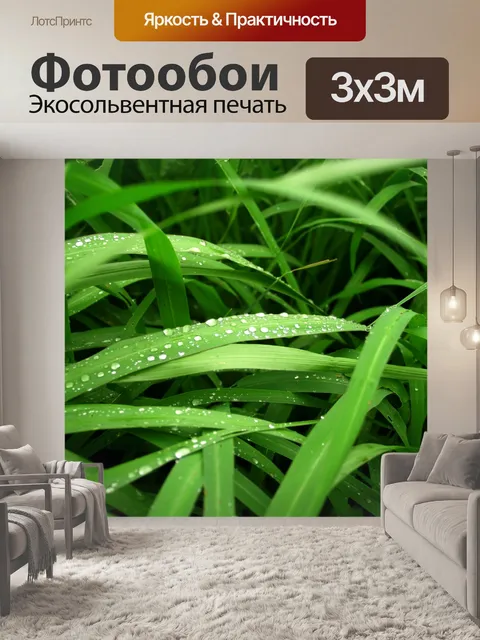 Фотообои Капля воды на листе