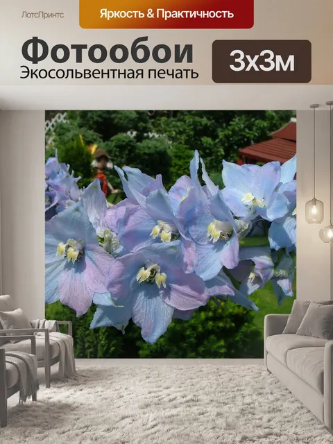 Фотообои Цветы