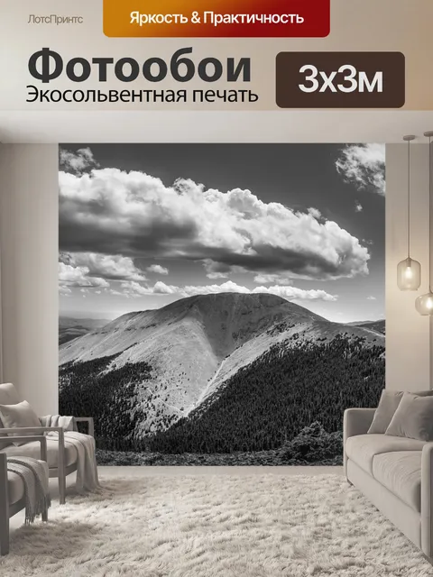 Фотообои Черное и белое