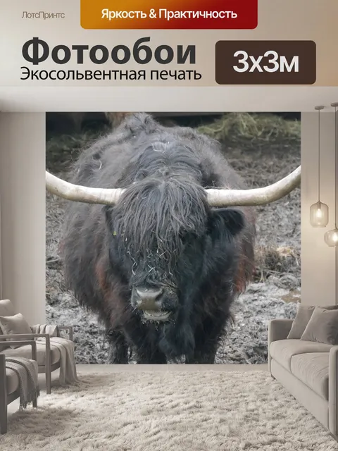 Фотообои Галантный
