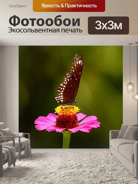 Фотообои Бабочка