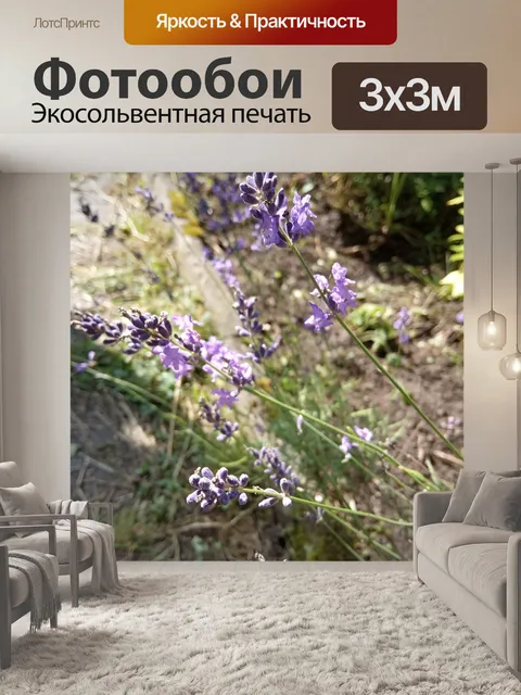 Фотообои Лаванда