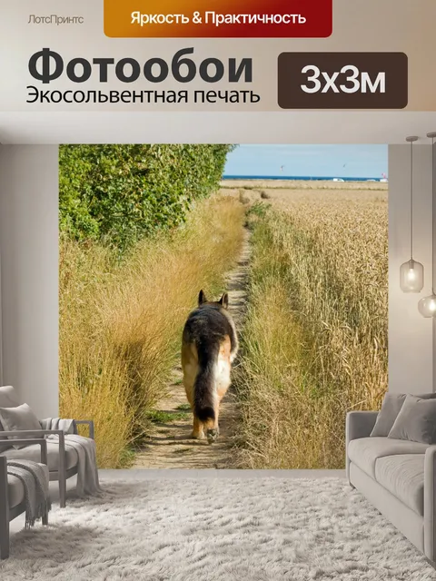Фотообои Собака идет по полю