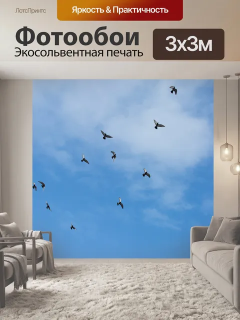 Фотообои Птицы летают