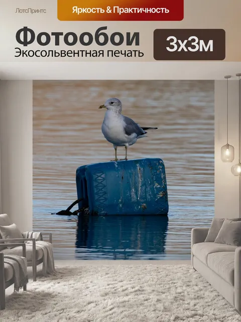 Фотообои Чайка